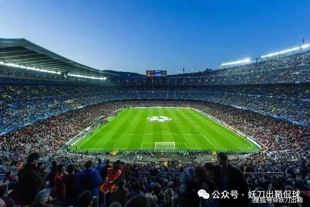 德国杯法兰克福对多特-IM电竞官网平台